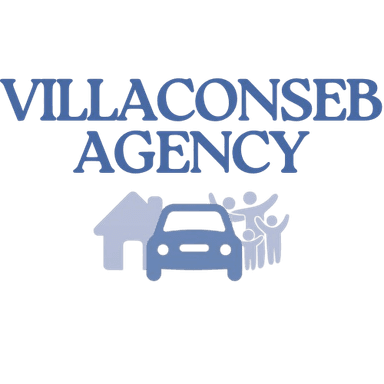 Villaconseb Agency